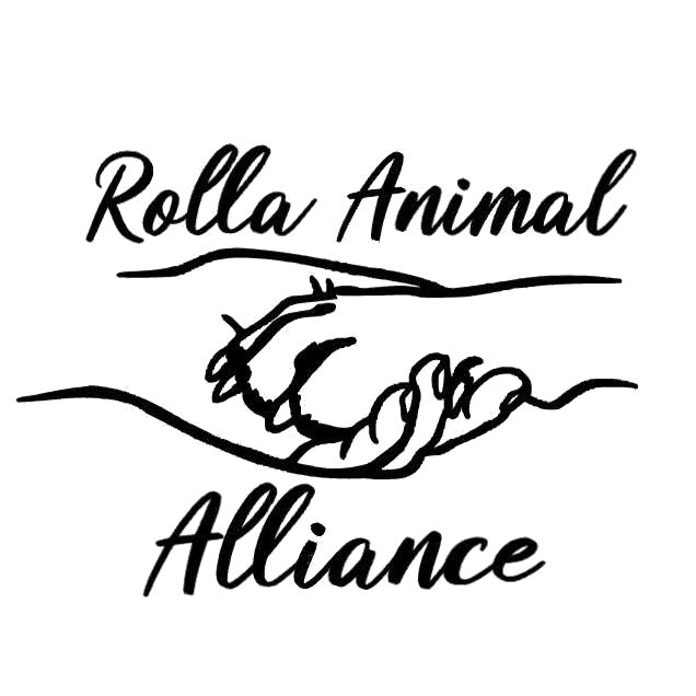 RAA Logo